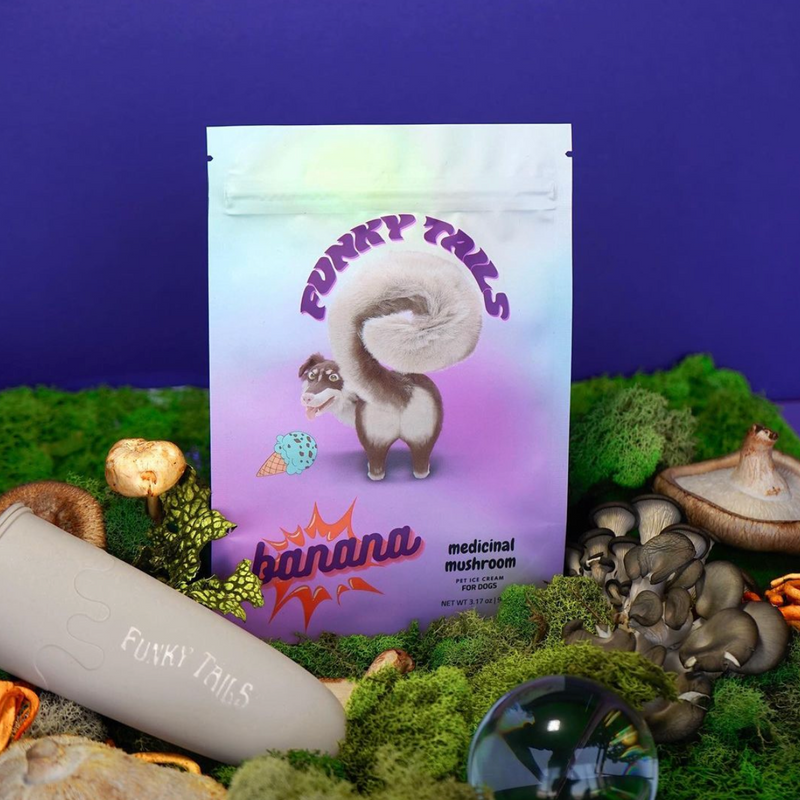 The Power of Mushrooms and Tumor Growth